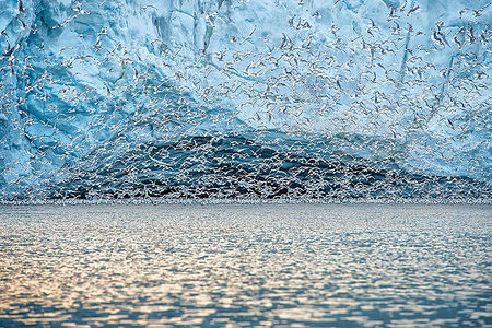 This stunning photograph captures a dynamic moment as a flock of seabirds takes flight against the backdrop of a towering glacial ice wall. The contrast between the movement of the birds and the stillness of the ice creates a breathtaking scene, embodying the life and energy present in the Arctic’s serene landscapes.