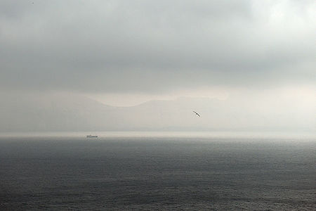 The image captures a solitary ship sailing the misty waters of the Faroe Islands, with dramatic cliffs looming in the background. The quiet majesty of the scene is heightened by the seagull in flight, symbolizing the freedom of nature amidst the vastness of the North Atlantic Ocean.