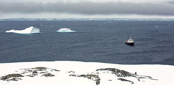 This photograph showcases the serene expanse of Antarctica, with a penguin silhouette foregrounding the scene. A solitary ship anchors in the icy waters, hinting at human presence in this remote ecosystem. Perfect for those who appreciate the untamed beauty of polar regions and the wildlife that inhabits them, this image can bring a touch of wild solitude to any living or working space.