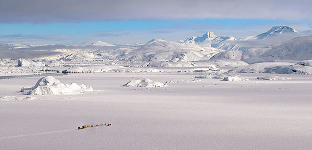 A stunning visual journey across the Greenlandic ice sheet, this image features a team of sled dogs in the forefront, traversing the pristine snowy expanse with majestic mountain peaks in the distance under a clear blue sky.