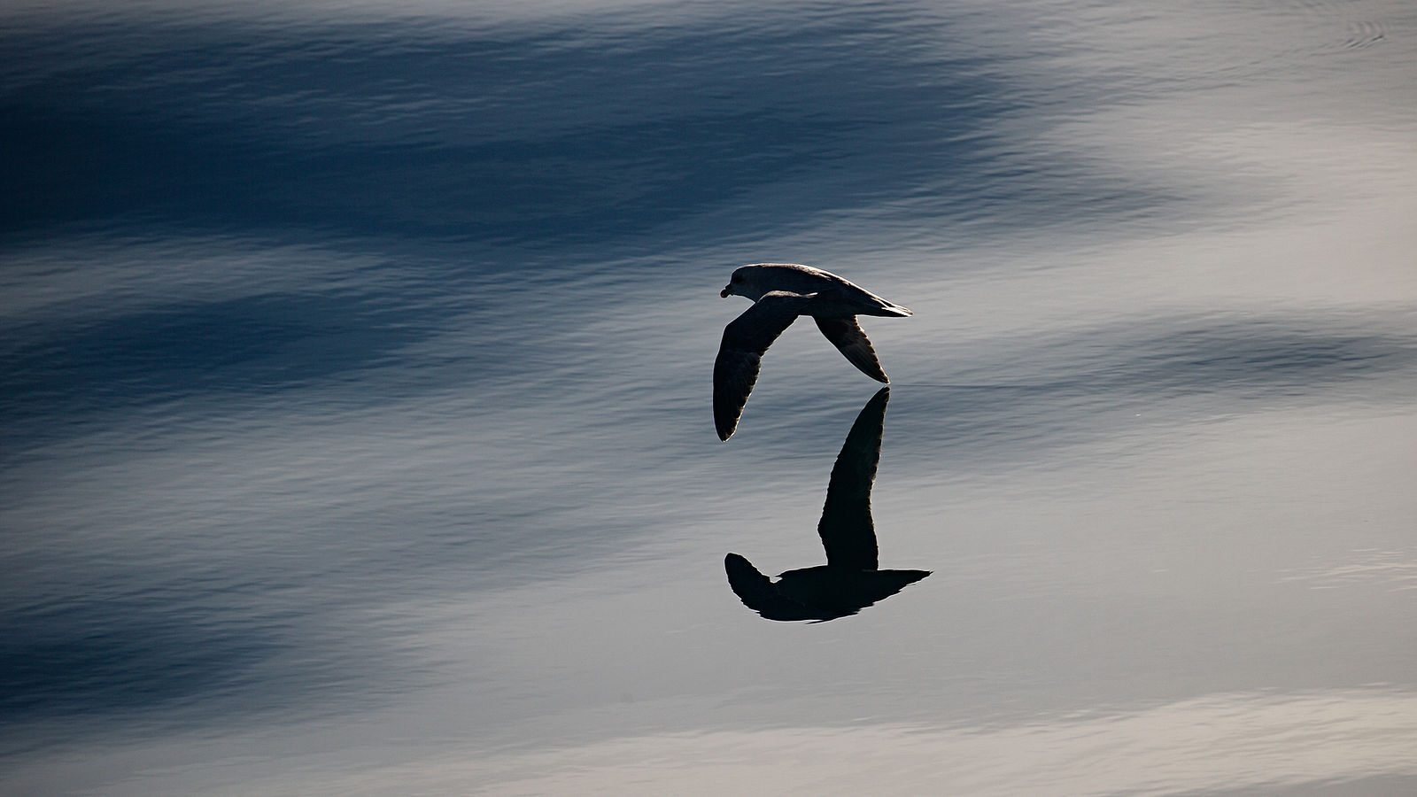 A Photography Journey. Svalbard. Svalbard. 2014.