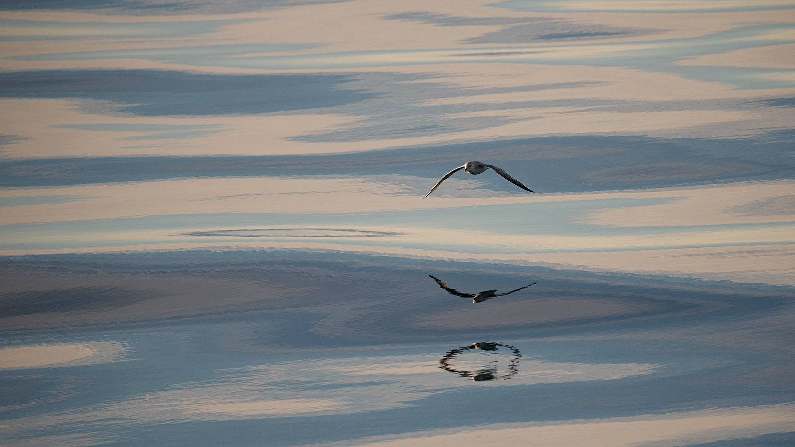 A Photography Journey. Svalbard. Svalbard. 2014.