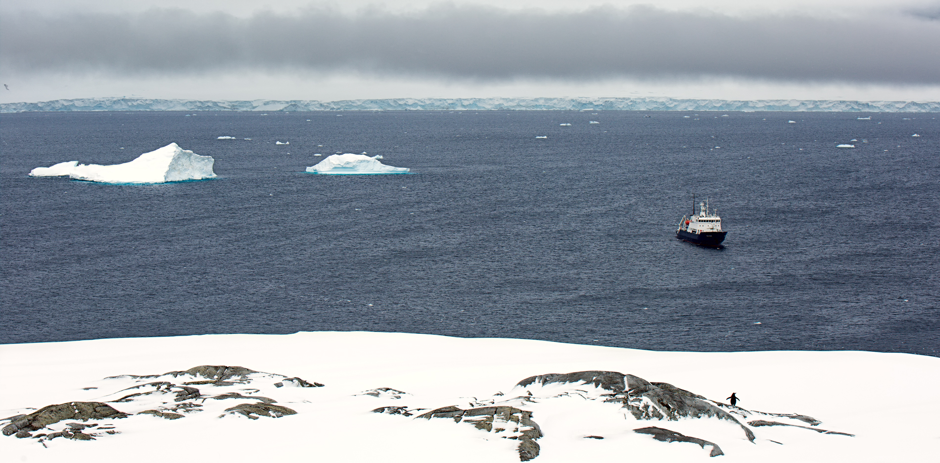 На этой работе изображены безмятежные просторы Антарктиды, на переднем плане - силуэт пингвина. Одинокий корабль, стоящий на якоре в ледяных водах, говорит о присутствии человека в этой удаленной экосистеме. Это изображение идеально подходит для тех, кто ценит нетронутую красоту полярных регионов и населяющих их диких животных, и способно привнести нотку дикого одиночества в любое жилое или рабочее пространство.