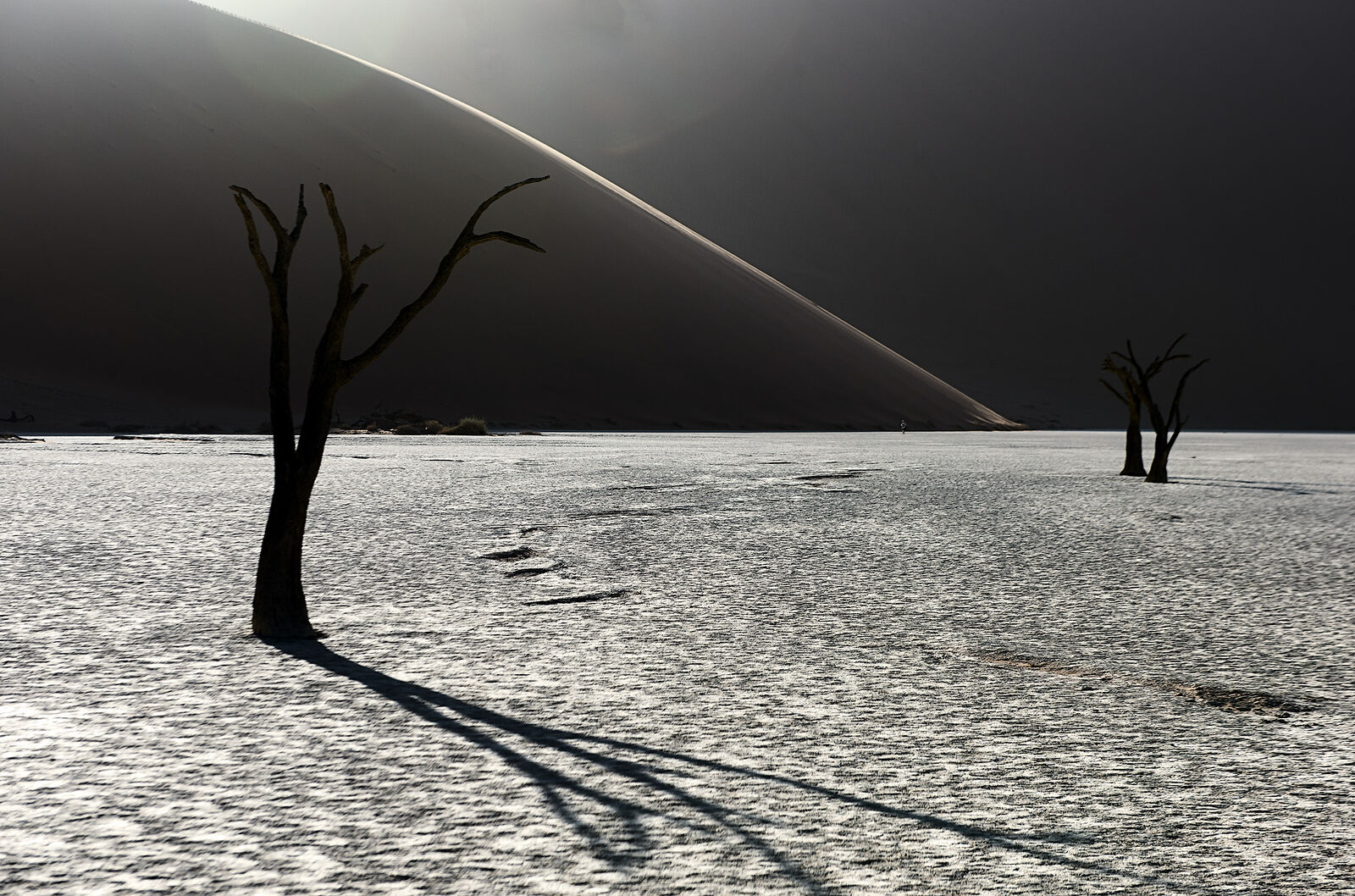 A Photography Journey. Namibia. Silent Sentinels: The Dead Trees of Namibia’s Deadvlei. The stark silhouettes of dead camel thorn trees in Deadvlei, a white clay pan located near the famous Sossusvlei, stand as a timeless testament to the life that once flourished here. Their enduring forms cast long shadows on the pan’s cracked surface, creating a dramatic interplay with the towering dunes that encircle this natural monument.