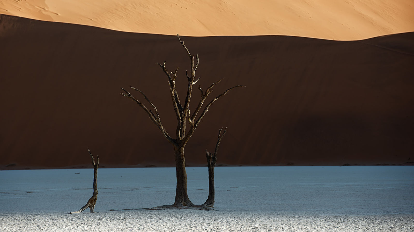 A Photography Journey. Namibia. The Threshold of Duality: Silhouettes at Dawn in Deadvlei. In a symphony of contrast, the petrified guardians of Deadvlei rise from the clay canvas, etched sharply against the dawn. Here, the duality of existence is profound—life and death, light and shadow, each defining the other at the world’s stark edge. The dune, painted with morning’s golden hue, slices the scene into realms of known and unknown, a masterpiece of the natural world.