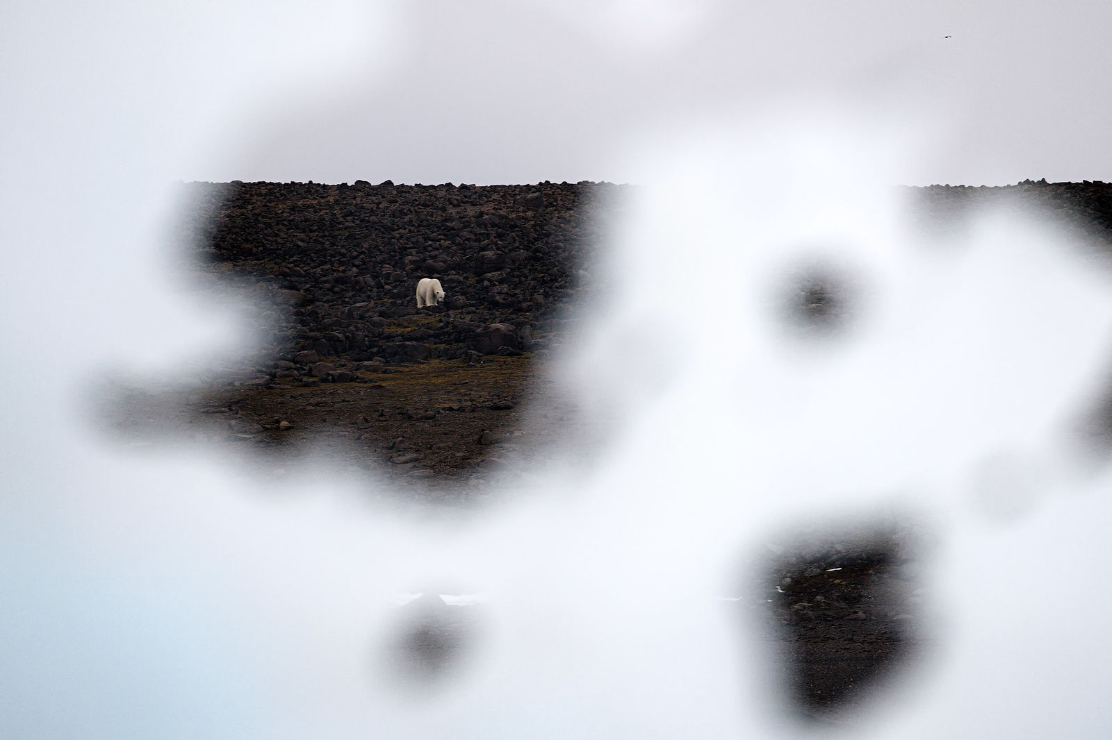 A Photography Journey. Svalbard. Svalbard. 2014.